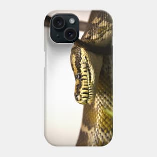 Snake VIII / Swiss Artwork Photography Phone Case