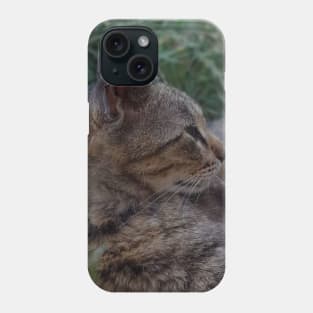 cat Phone Case