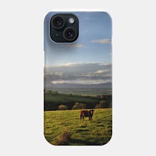 Cattle graze during a sunset looking towards the Trossachs, Scotland Phone Case