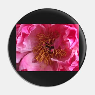 Coral Peony 2 Pin