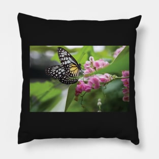 Paper Kite butterfly Pillow