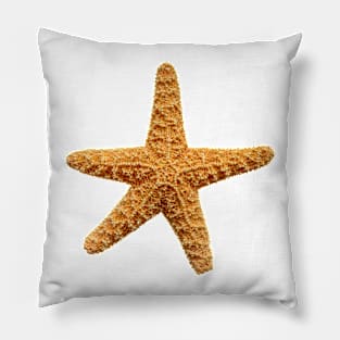 Starfish Pillow