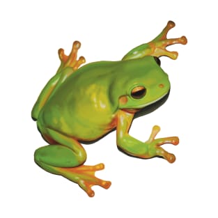 Gorgeous Green Tree Frog. Australian green frog. Cute frog illustration, realistically drawn T-Shirt