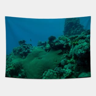 Coral reef and scuba diver Tapestry