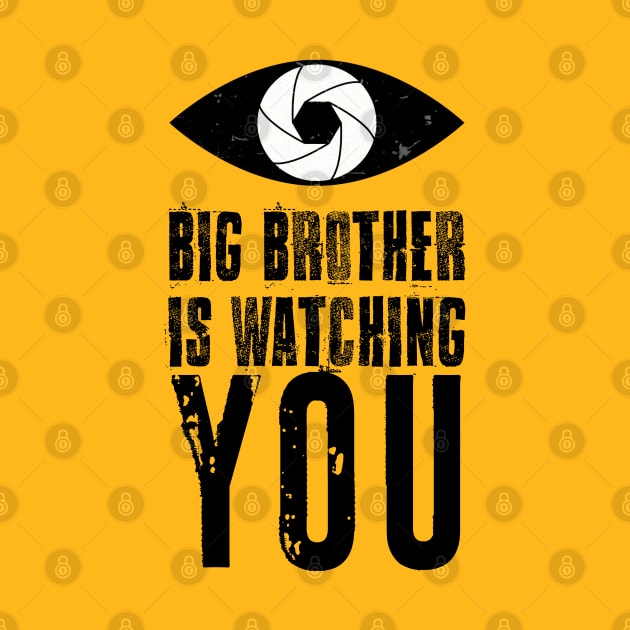 Big brother is watching you by RiverPhildon