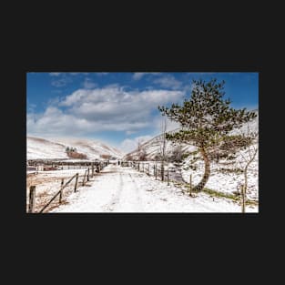 Coquet Valley - Wintertime T-Shirt