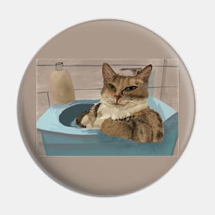 Furry Tabby Cat Blocking the Sink Pin