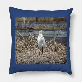 Great egret, wild birds, wildlife gifts Pillow