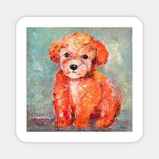 Toy Poodle Magnet