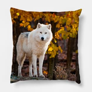 Arctic Wolf Pillow