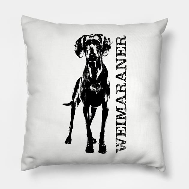 Weimaraner dog Pillow by Nartissima