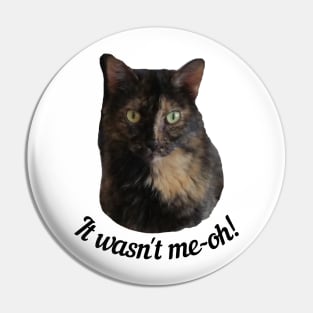 Tortoiseshell Cat Looking Guilty Pin