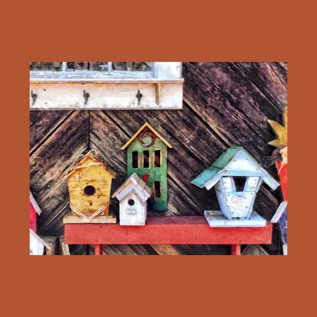 Birdhouses for Sale by SusanSavad