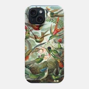 Hummingbirds Trochilidae by Ernst Haeckel Phone Case