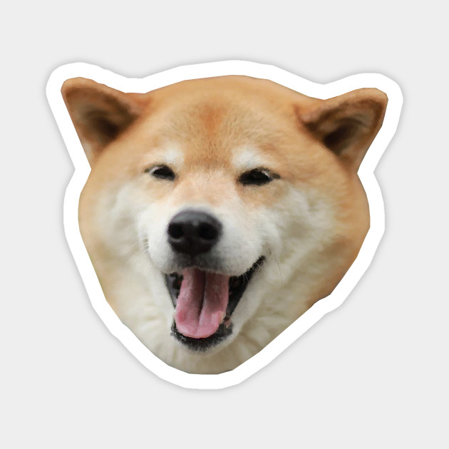 Shiba Inu Dog Tongue