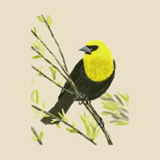 Yellow-headed Blackbird T-Shirt