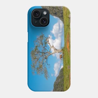 Single tree in Vinales Valley, Cuba Phone Case