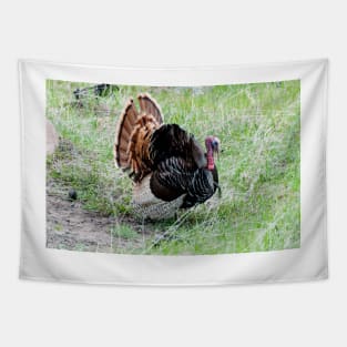 Mr. Tom Gobbler Tapestry