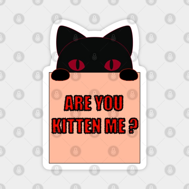 Are you kitten me funny cat saying Magnet by Donut lover