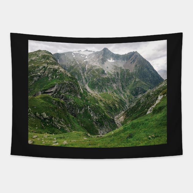 Mountains of Switzerland Tapestry by visualspectrum