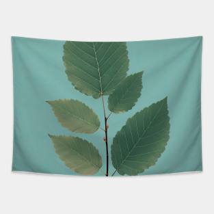 Alder Leaf Elegance Tapestry