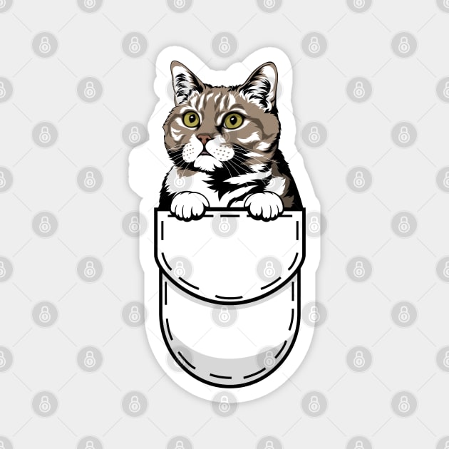 Funny American Shorthair Pocket Cat Magnet by Pet My Dog