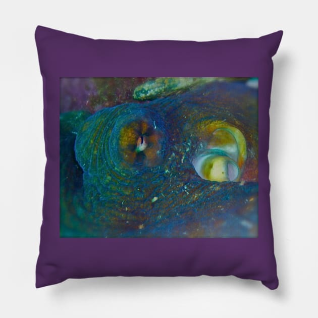 Eightball eyeball! Pillow by dumbodancer