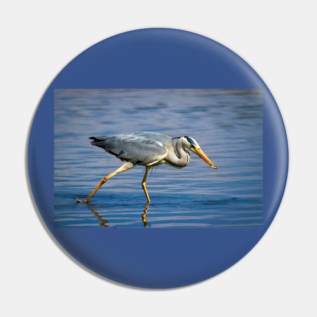 Snack time for Grey Heron Pin by Violaman