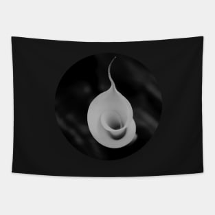 Calla Lily Flower Unfolding Tapestry