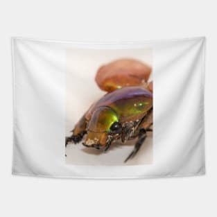 Summer Christmas Beetle Tapestry