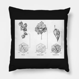 Pen and Ink Traditional Botanical Illustration Pillow