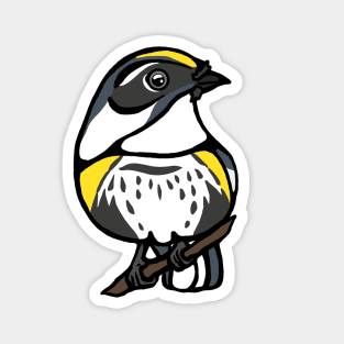 Yellow Rumped Warbler Graphic Magnet
