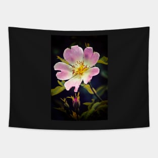 A Wild Rose Tapestry