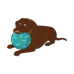 LR chocolate lab cartoon with ball T-Shirt