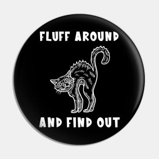 Fluff Around And Find Out Cat Pin