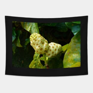 Noni Fruit on a Tree Tapestry