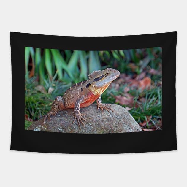 Water Dragon in Maleny Queensland Tapestry by pops