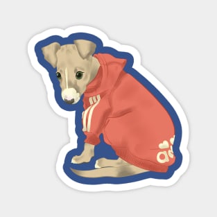 Italian Greyhound Magnet