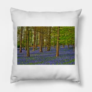 Bluebells Bluebell Woods Greys Court Oxfordshire UK Pillow