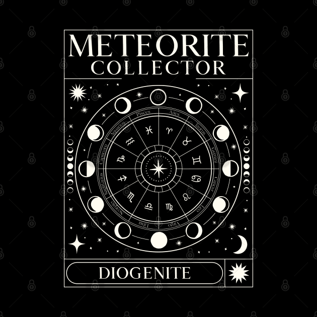 Meteorite Collector Diogenite Meteorite Meteorite by Meteorite Factory