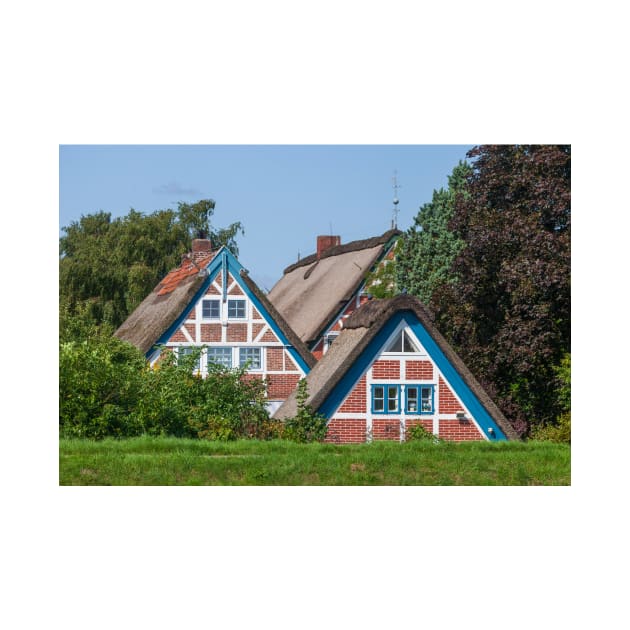 Half-timbered house, Mittelkirchen, Altes Land, Lower Saxony, Germany by Kruegerfoto