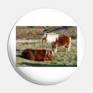 Dartmoor Ponies Pin