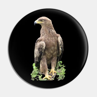 Eagle in Kenya / Afrika Pin