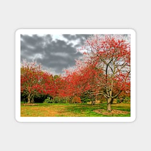 Berry Trees Magnet