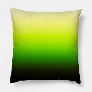 citrus Pillow