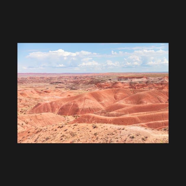 Painted Desert by jvnimages