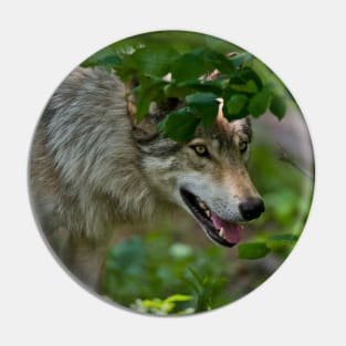 Gray Wolf Pin