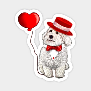 The Best Valentine’s Day Gift ideas top 10, Cavalier king charles spaniel fancy dress red bow tie and hat, white Cavoodle Cavapoo Valentines day Magnet