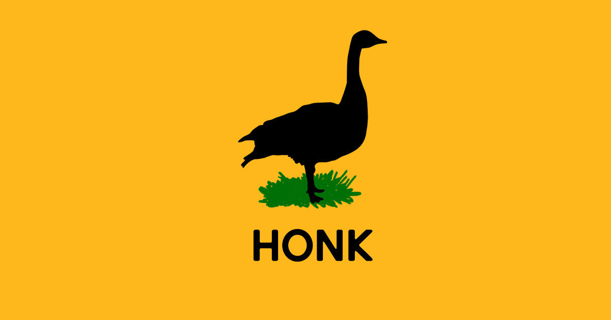 What Does the Goose Say? Honk Honk TShirt TeePublic