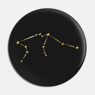 Astrology Constellation Zodiac Star Sign Aquarius Pin